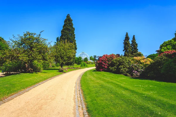 Пейзаж Травяного Поля Зеленой Среды Парк Королевского Дворца Лакен Севере — стоковое фото