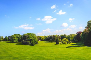 Çim alan ve yeşil çevre, Royal Palace Laeken Brüksel Kuzey park peyzaj.