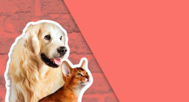 Kedi ve köpek, Habeş yavru kedi, golden retriever parlak tuğla duvar önünde bakar. Çizgi film zine retro tarzı.