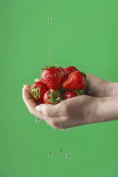 Female hands washing strawberry on the green saturated background. Concept of the importance of washing fruits under quarantine