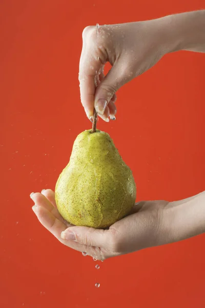 Female hands washing pear on the red saturated background. Concept of the importance of washing fruits under quarantine