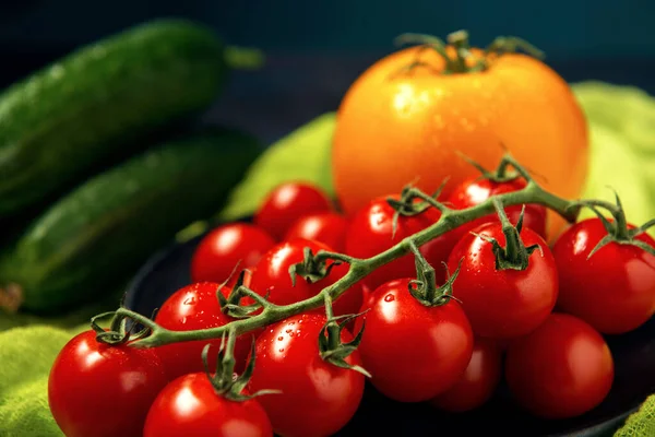 Algumas Treliças Tomate Cereja Vermelho Frutas Tomate Amarelo Único Pepinos — Fotografia de Stock