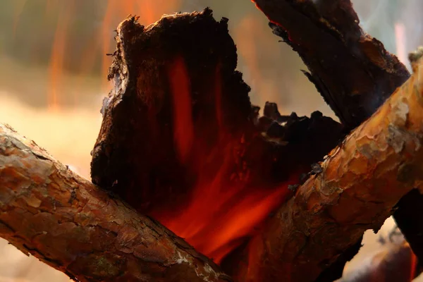Вогонь Горить Вогонь Вночі Вогонь Вогню Природі — стокове фото