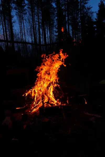 Big Fire Fire Night Fire Nature Lots Fire — Stock Photo, Image