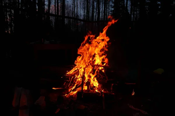 Великий Вогонь Вогонь Уночі Вогонь Природі Багато Вогню — стокове фото