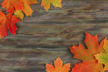 Eski ahşap bir masa üzerinde parlak kırmızı ve turuncu akçaağaç yaprakları vardı. Ahşap bir arkaplan kopyalama alanı üzerinde sonbahar yapraklarından yapılmış çerçeve.