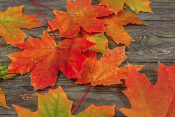Jasně Červené Oranžové Javorové Listy Starém Dřevěném Stole Podzimní Listí — Stock fotografie