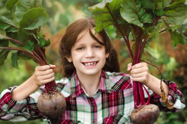 Koyu renk saçlı, ekose gömlekli tatlı bir kız sebze bahçesinde hasat yapıyor. Seranın yakınına. Yaz. Ağustos.