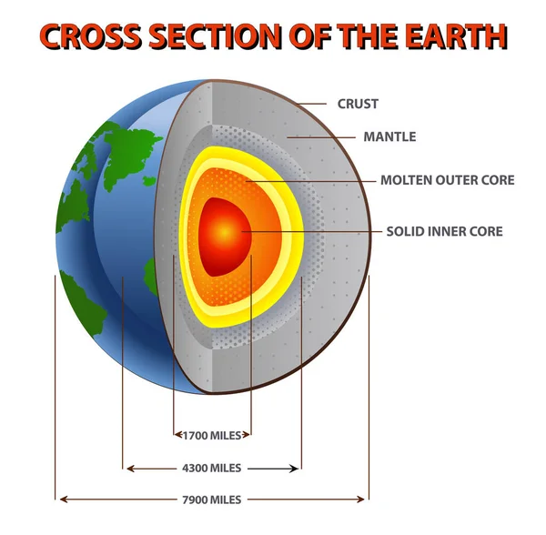 Ілюстрація Внутрішнього Поперечного Перерізу Землі Ізольованому Білому Тлі — стокове фото