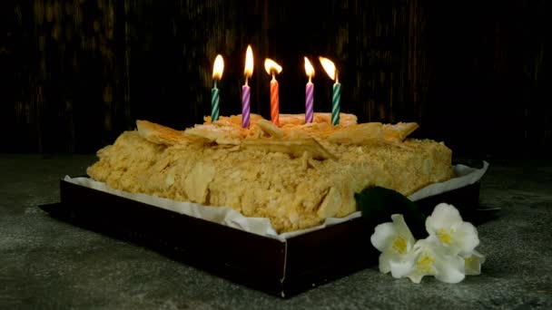 Cinco velas acesas no bolo de aniversário Napoleão. As velas queimam brilhantemente e flutuam de sopro ou esboço. Fechar . — Vídeo de Stock