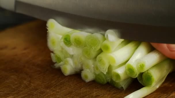 Chef Finamente Cortar Cebolas Verdes Suculentas Frescas Cebolinhas Com Faca — Vídeo de Stock