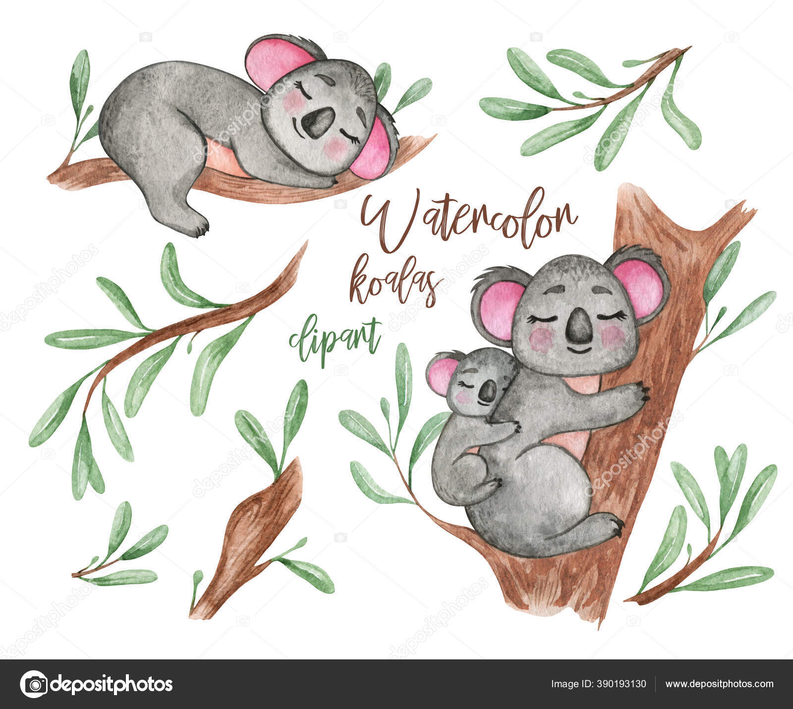 Koala Watercolor Clipart Australia Cute Little Animals Koala Bear Tree Stock Photo Image By C Nastyamoon