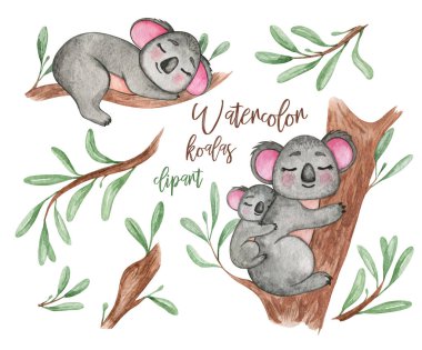 Koala suluboya klipsi. Avustralya, şirin küçük hayvanlar, koala, ağaç dalı, yapraklar, yavrulu şirin koala, bebek partisi, çocuklar, bebek. Avustralyalı hayvanlar sanat klipsleri, çocuk odası dekorları