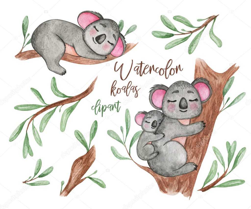 Koala watercolor clipart. Australia, Cute little animals, koala bear, tree branch, leaves,cute koala with cub, babyshower, kids, baby. Australian animals clip art, nursery decor
