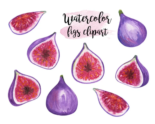 Aquarel Vijgen Clipart Met Hand Getrokken Vijgen Voorraad Illustratie Geïsoleerd — Stockfoto