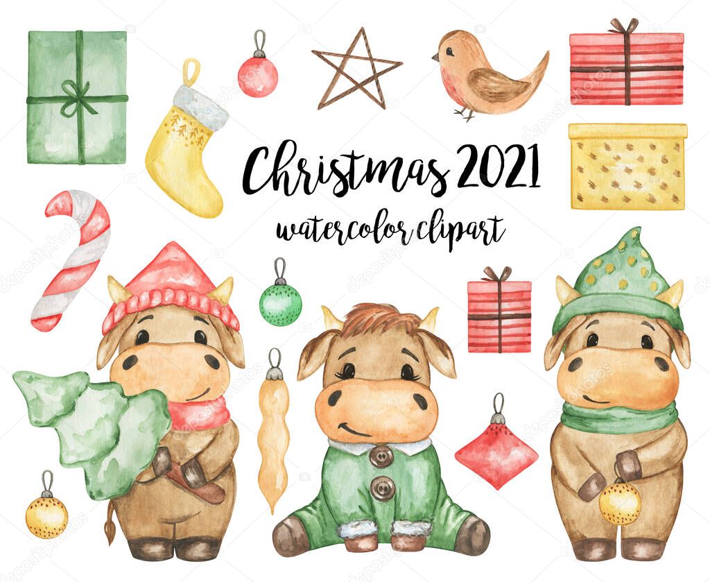 Watercolor Christmas 2021 clipart, Happy New Year items set, Christmas bulls watercolor clipart, hand drawn merry christmas illustration, funny bulls set