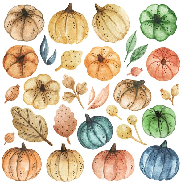 Akwarela Dynie Clipart Kolorowe Dynie Zestaw Dziękczynienie Jesień Żniwa Clipart — Zdjęcie stockowe