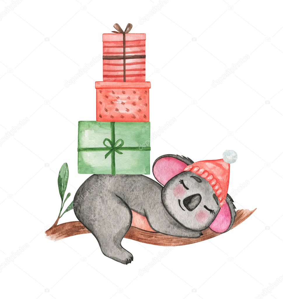Watercolor Christmas koala clipart, gift box, Cute animal in Christmas hat isolated, hand drawn illustration, Xmas little animals, New Year baby decor