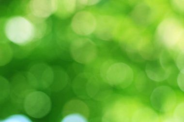 Ağaçtaki yeşil yapraklardan Bokeh arkaplanı. Yeşil açık yeşil ve bulanık sarı. Bu fotoğraf yazın, yeşille çekilmiş. Görüntüyü serin ve gözlere iyi gelir.