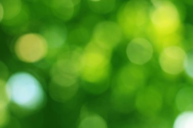 Ağaçtaki yeşil yapraklardan Bokeh arkaplanı. Yeşil açık yeşil ve bulanık sarı. Bu fotoğraf yazın, yeşille çekilmiş. Görüntüyü serin ve gözlere iyi gelir.