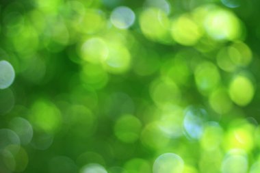 Ağaçtaki yeşil yapraklardan Bokeh arkaplanı. Yeşil açık yeşil ve bulanık sarı. Bu fotoğraf yazın, yeşille çekilmiş. Görüntüyü serin ve gözlere iyi gelir.