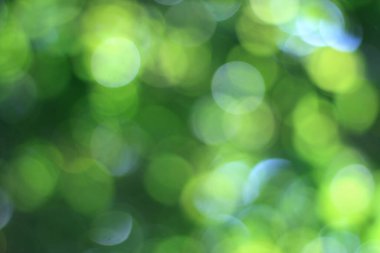 Soyut bokeh, doğal yeşil ve mavi arkaplan, yaz boyunca güzel bulanık, ağaçtaki yapraklardan alınan mavi-yeşil bir bokeh ve sarı-mavi bir ışık var.