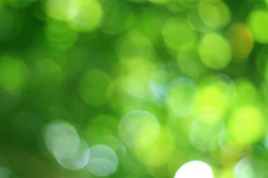 Ağaçtaki yeşil yapraklardan Bokeh arkaplanı. Yeşil açık yeşil ve bulanık sarı. Bu fotoğraf yazın, yeşille çekilmiş. Görüntüyü serin ve gözlere iyi gelir.