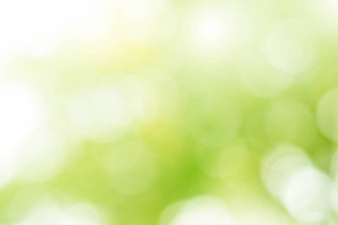 Yapraklardan gelen soyut bokeh yeşili arka plan ki bu da yeşil, beyaz ve güzel beyaz bokeh ile bulanık arkaplanlı doğa sanatıdır.