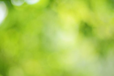 Bahar bokeh doğası soyut arkaplan. Yeşil yapraklar bulanık, ilkbaharda veya yaz mevsiminde güzel, ağaçtan bulanıklaşacak yaprakların odak noktasını seçen yeşil bokehlerdir..