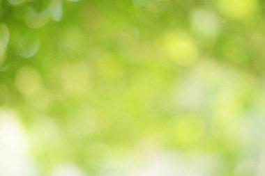 Bahar bokeh doğası soyut arkaplan. Yeşil yapraklar bulanık, ilkbaharda veya yaz mevsiminde güzel, ağaçtan bulanıklaşacak yaprakların odak noktasını seçen yeşil bokehlerdir..