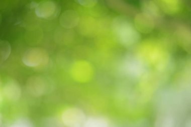 Bahar bokeh doğası soyut arkaplan. Yeşil yapraklar bulanık, ilkbaharda veya yaz mevsiminde güzel, ağaçtan bulanıklaşacak yaprakların odak noktasını seçen yeşil bokehlerdir..