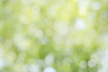 Bahar bokeh doğası soyut arkaplan. Yeşil yapraklar bulanık, ilkbaharda veya yaz mevsiminde güzel, ağaçtan bulanıklaşacak yaprakların odak noktasını seçen yeşil bokehlerdir..