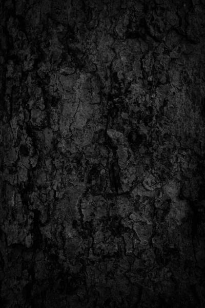 Кора Черного Дерева Фон Естественная Красивая Старая Текстура Дерева Зависимости — стоковое фото