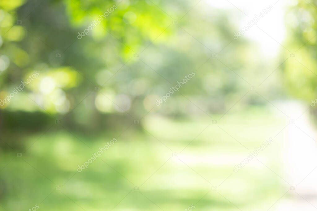 Natural green tree bokeh blur, lawn and trees, green background with beautiful lawn, shadow of bushes is smooth and clean grass with sunshine bokeh.