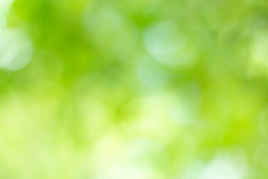 Yeşil bokeh parlak bulanık yeşil arka plan ağaçların gündüz vakti çok güzel doğal bir parıltıdır. Bir sürü güzel yaprak.