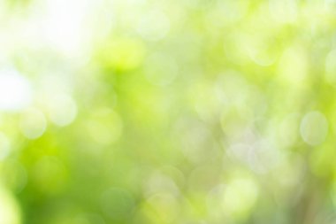 Yeşil bokeh parlak bulanık yeşil arka plan ağaçların gündüz vakti çok güzel doğal bir parıltıdır. Bir sürü güzel yaprak.