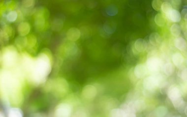 Yeşil bokeh parlak bulanık yeşil arka plan ağaçların gündüz vakti çok güzel doğal bir parıltıdır. Bir sürü güzel yaprak.