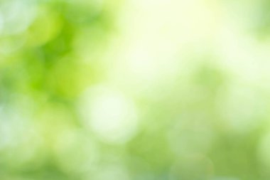 Yeşil bokeh parlak bulanık yeşil arka plan ağaçların gündüz vakti çok güzel doğal bir parıltıdır. Bir sürü güzel yaprak.