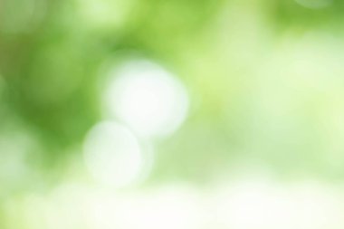 Yeşil bokeh parlak bulanık yeşil arka plan ağaçların gündüz vakti çok güzel doğal bir parıltıdır. Bir sürü güzel yaprak.