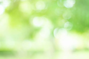 Yeşil bokeh parlak bulanık yeşil arka plan ağaçların gündüz vakti çok güzel doğal bir parıltıdır. Bir sürü güzel yaprak.