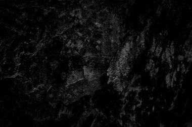 Kara ağaç kabuğu arka planda Doğal yaşlı ağaç kabuğu dokusu Yazın güzel kabuğu olan ağacın yaşına göre