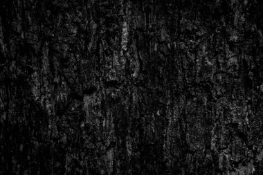 Kara ağaç kabuğu arka planda Doğal yaşlı ağaç kabuğu dokusu Yazın güzel kabuğu olan ağacın yaşına göre