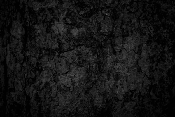 Кора Черного Дерева Фон Естественная Красивая Старая Текстура Дерева Зависимости — стоковое фото