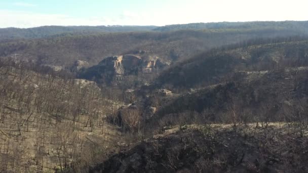 Rekaman Udara Regenerasi Hutan Setelah Kebakaran Semak Yang Parah Blue — Stok Video