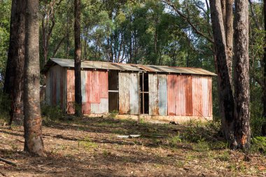 Avustralya 'nın Yeni Güney Galler bölgesindeki Wollemi Ulusal Parkı' nda harap olmuş eski bir bina.