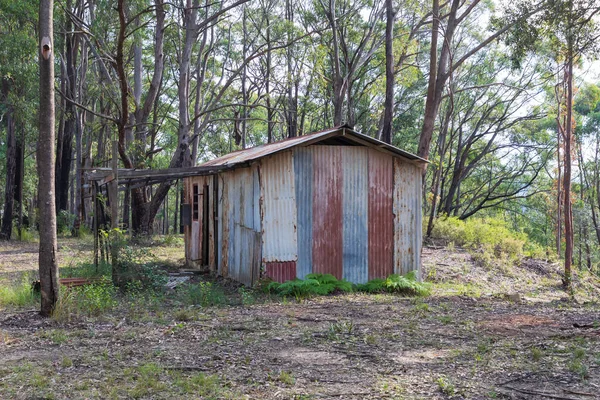 Avustralya 'nın Yeni Güney Galler bölgesindeki Wollemi Ulusal Parkı' nda harap olmuş eski bir bina.
