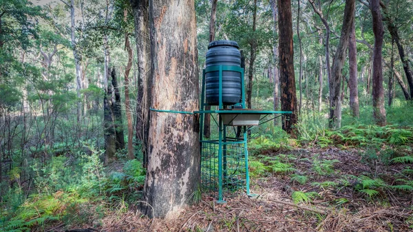 Système Arrosage Faune Dans Programme Des Parcs Nationaux Australiens — Photo