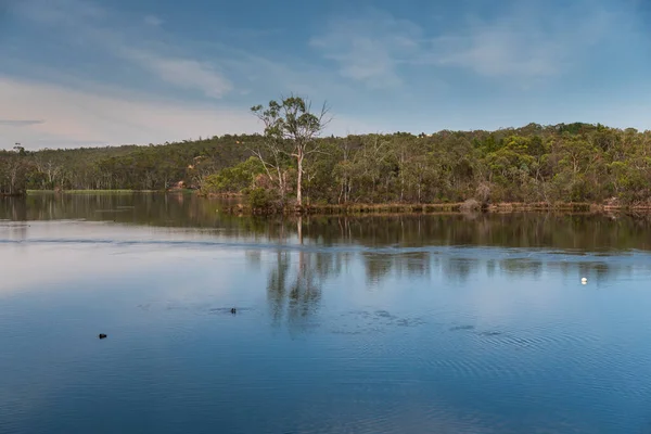 Δεξαμενή Νερού Barossa Στην Περιφερειακή Νότια Αυστραλία Στην Αυστραλία — Φωτογραφία Αρχείου