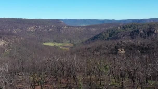 Luftaufnahmen Der Walderneuerung Nach Schweren Buschbränden Den Blue Mountains Regionalen — Stockvideo