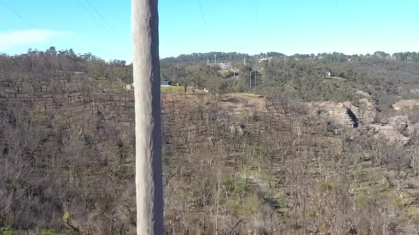 Filmagem Aérea Regeneração Florestal Após Incêndios Florestais Severos Nas Montanhas — Vídeo de Stock